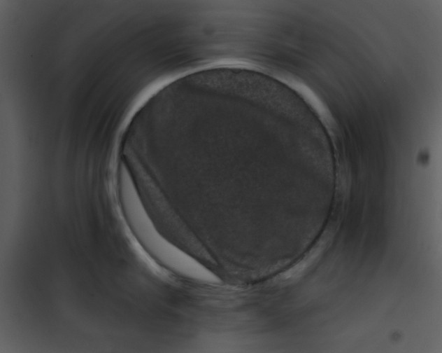 X0000101140910200807181252