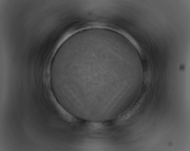 X0000101140911200807181252