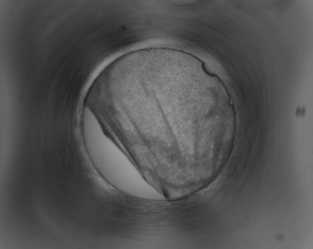 X0000101140912200807181252