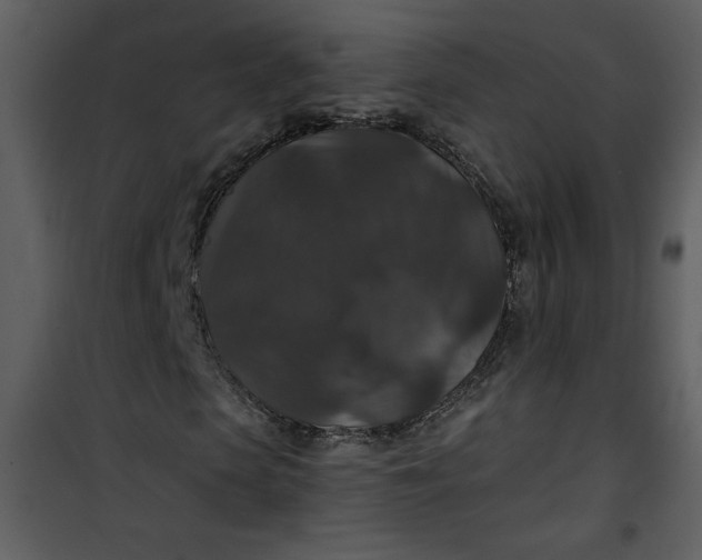 X0000101140913200807181251