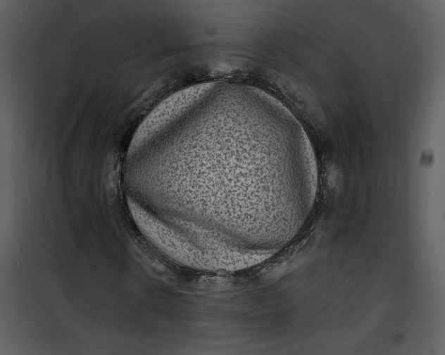 X0000101140914200807181251