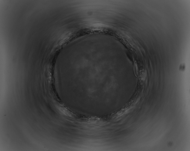 X0000101140916200807181251