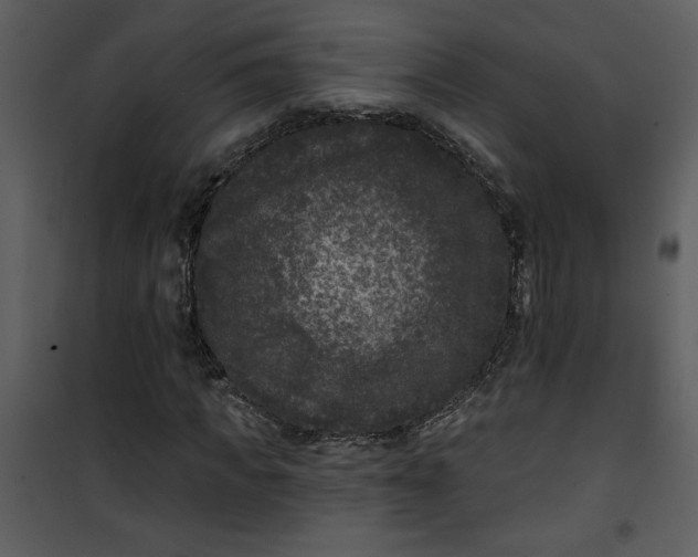 X0000101140917200807181251