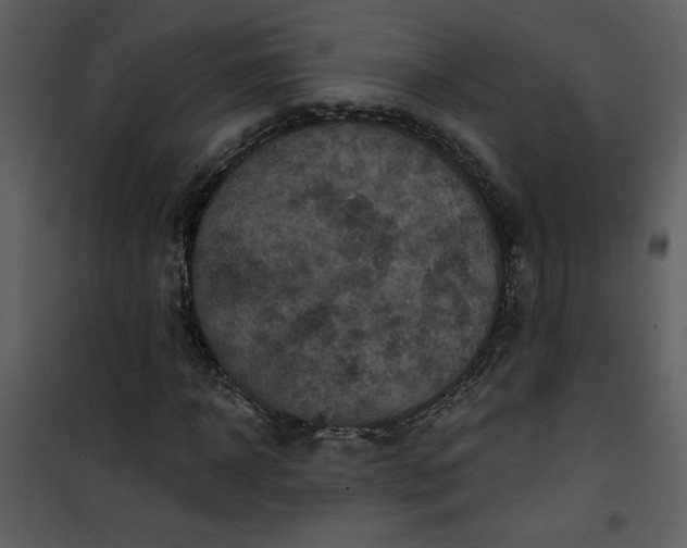 X0000101140918200807181251