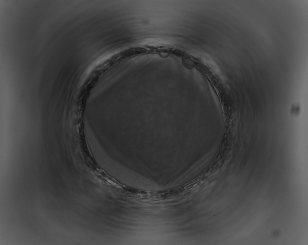 X0000101140920200807181251