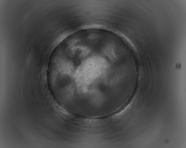 X0000101140921200807181251