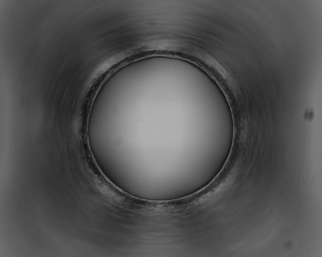 X0000101140922200807181251