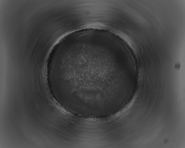 X0000101140923200807181251