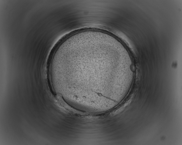 X0000101140924200807181251