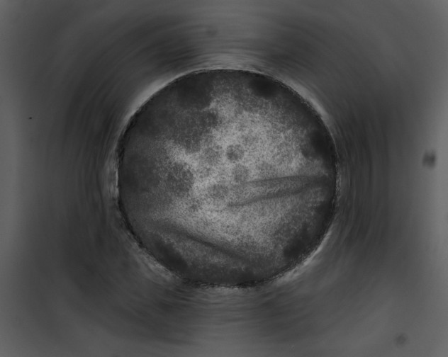 X0000101140925200807181251