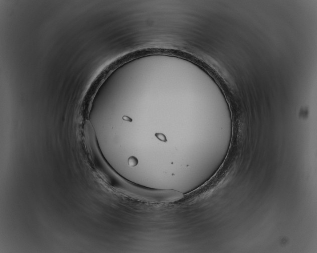 X0000101140926200807181251