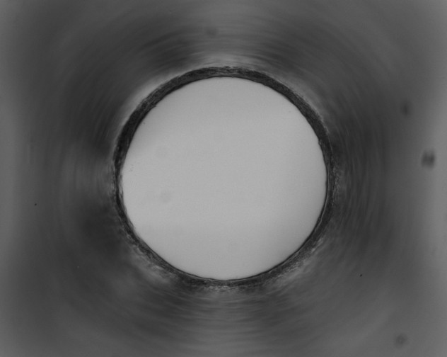 X0000101140927200807181251