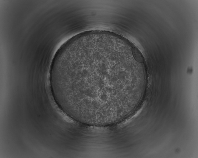 X0000101140928200807181251