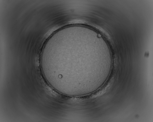 X0000101140929200807181251