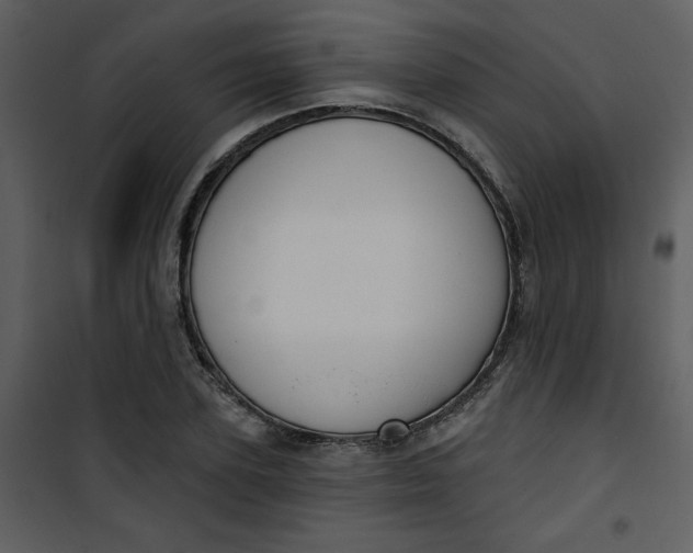 X0000101140931200807181251