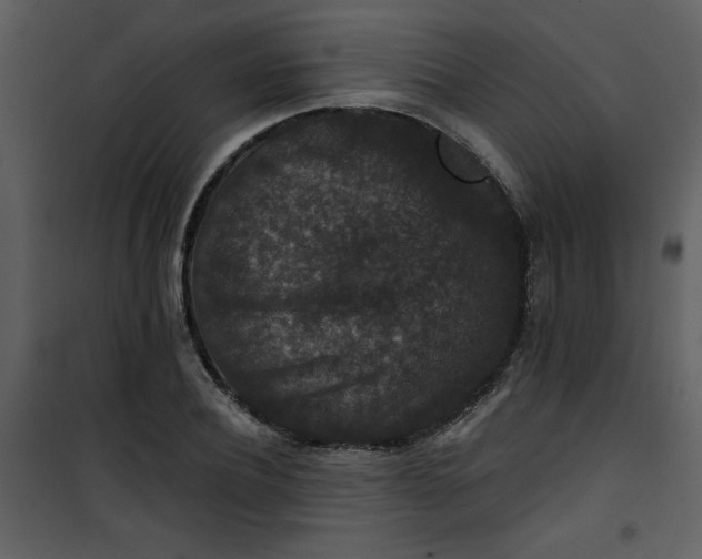 X0000101140932200807181251