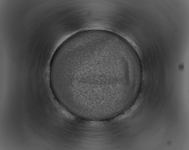 X0000101140933200807181251