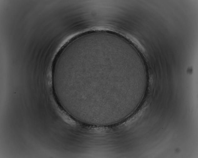 X0000101140934200807181251