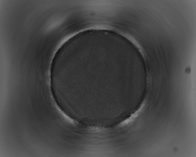 X0000101140935200807181251