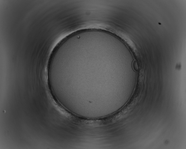 X0000101140936200807181251