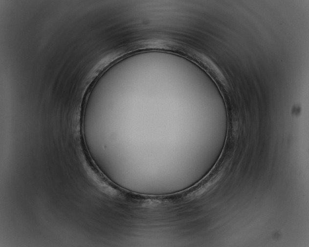 X0000101140938200807181251