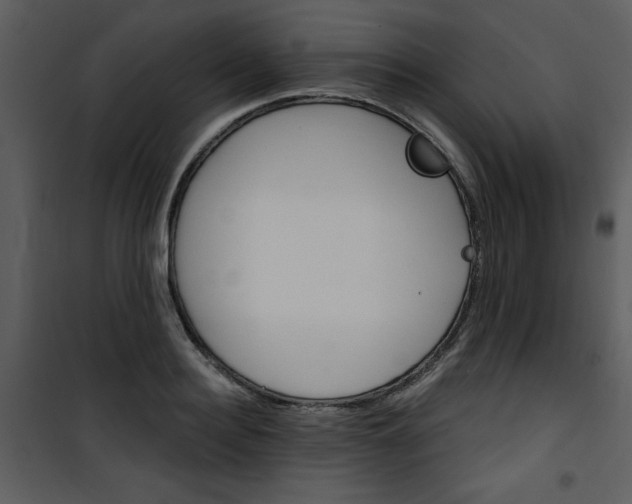 X0000101140940200807181251