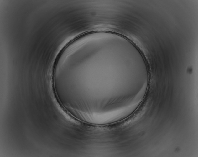 X0000101140941200807181251