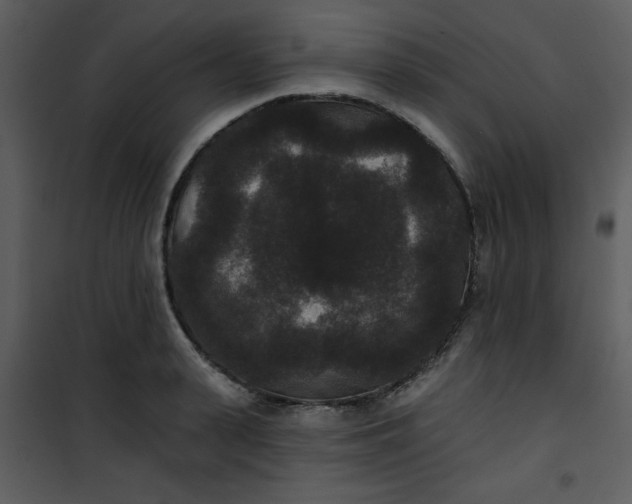 X0000101140943200807181251