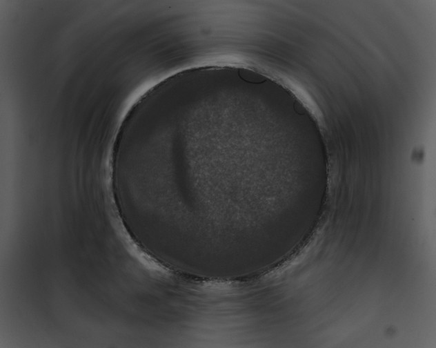 X0000101140944200807181251