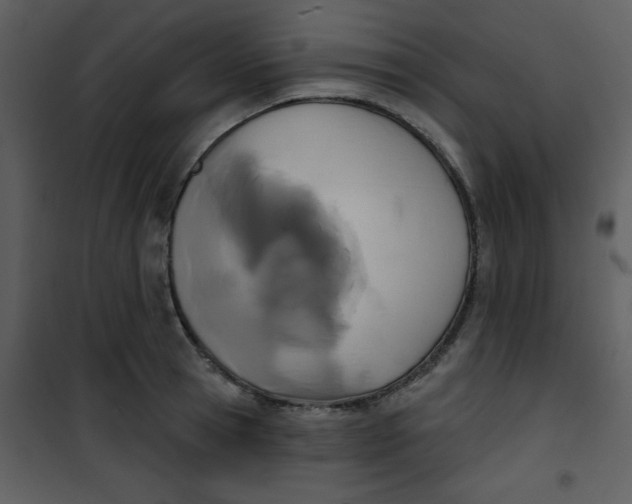 X0000101140945200807181252