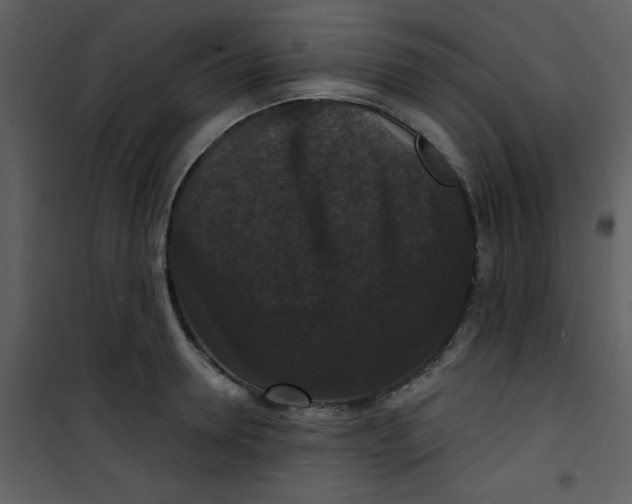 X0000101140946200807181252