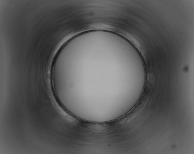 X0000101140947200807181252