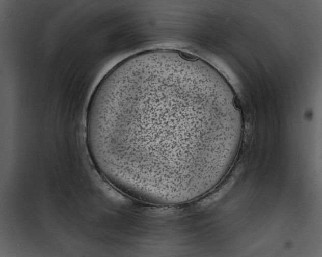 X0000101140948200807181252