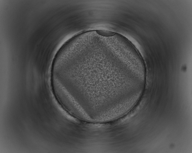 X0000101140949200807181252