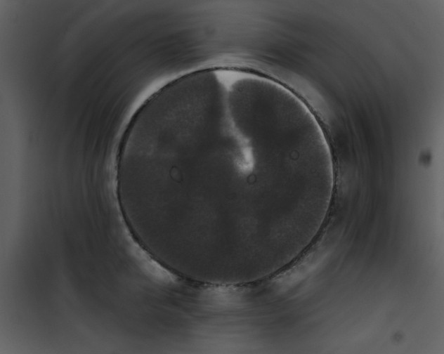 X0000101140950200807181252