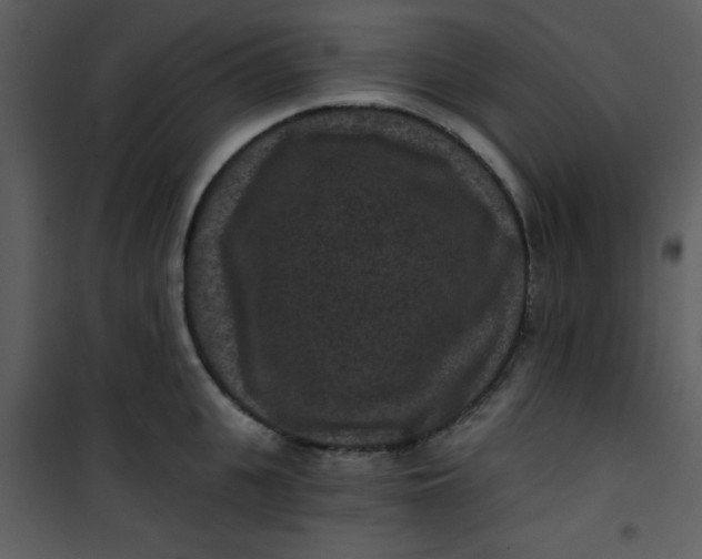 X0000101140951200807181252