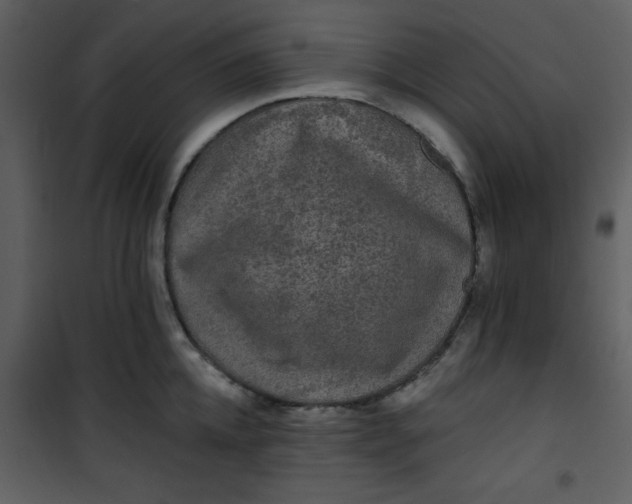 X0000101140952200807181252