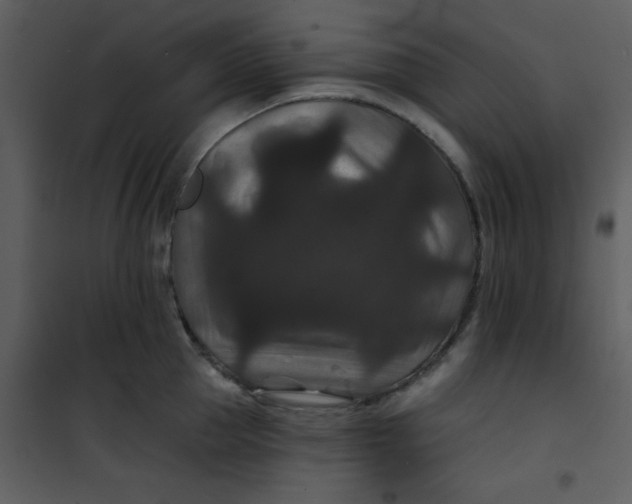 X0000101140953200807181252