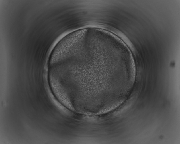 X0000101140955200807181252