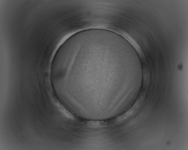 X0000101140956200807181252