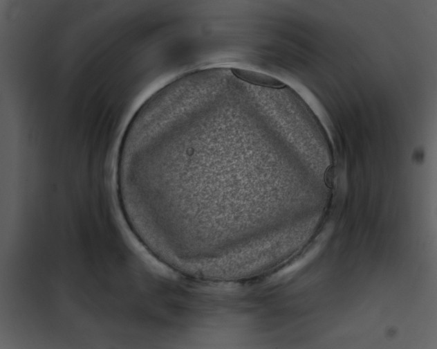 X0000101140957200807181252