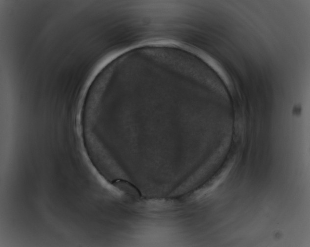 X0000101140959200807181252