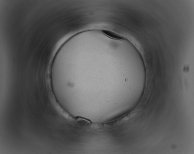 X0000101140960200807181252