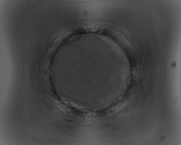 X0000101140961200807181251