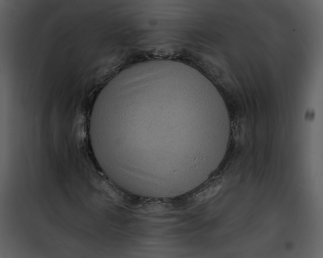 X0000101140962200807181251