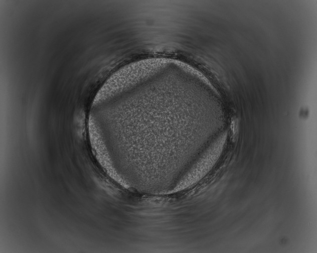 X0000101140963200807181251