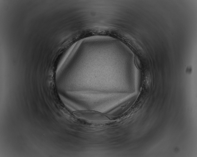 X0000101140964200807181251