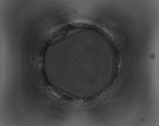 X0000101140965200807181251