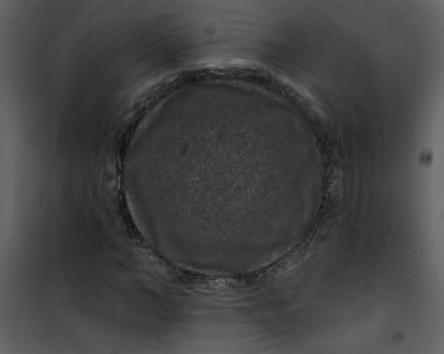 X0000101140966200807181251