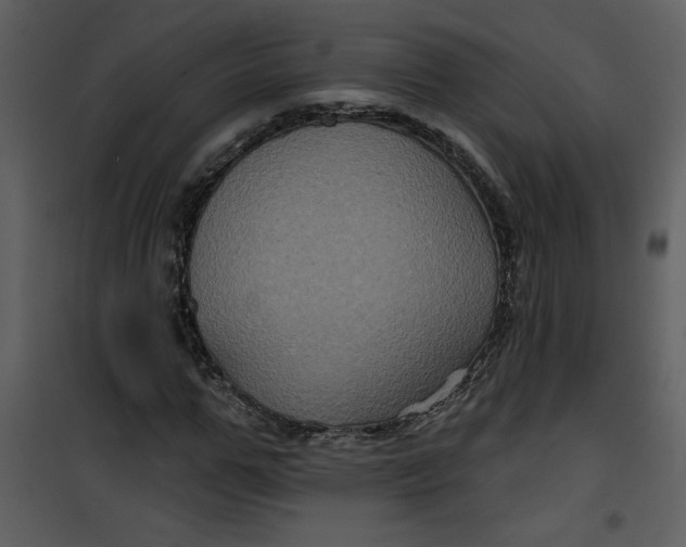 X0000101140967200807181251